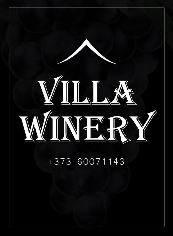 Villa Winery Cricova Exterior foto